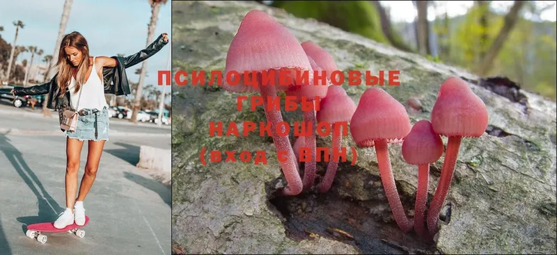 Псилоцибиновые грибы Magic Shrooms  MEGA ONION  Новоалександровск 